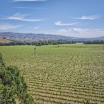 vineyard drone photography yountville ava estate