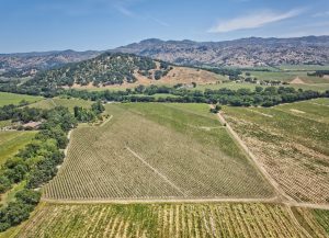 yountville ava estate vineyard panoramic view