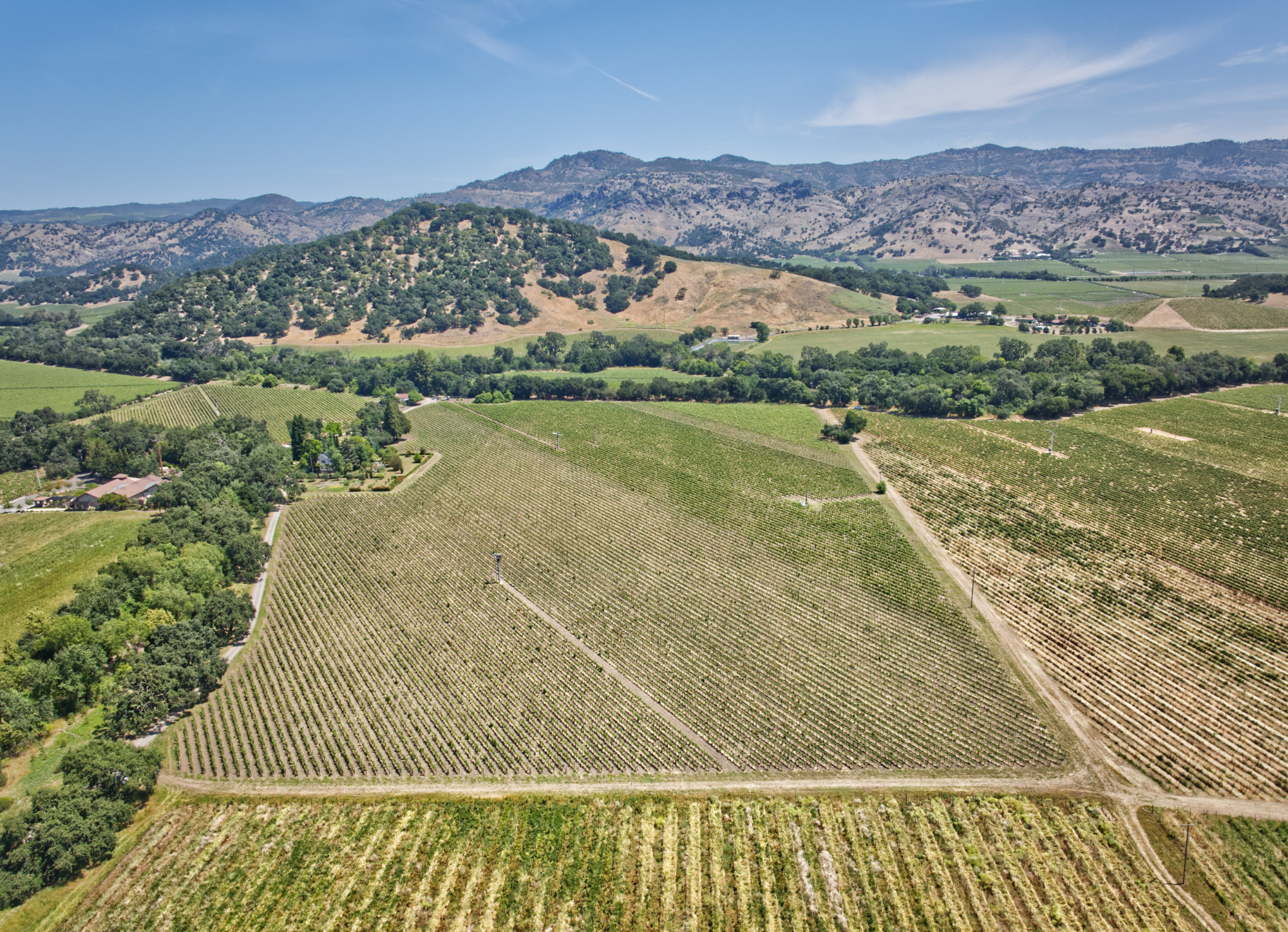 yountville ava estate vineyard panoramic view