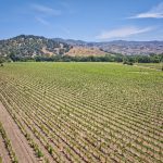 yountville ava premium vineyard aerial view napa valley
