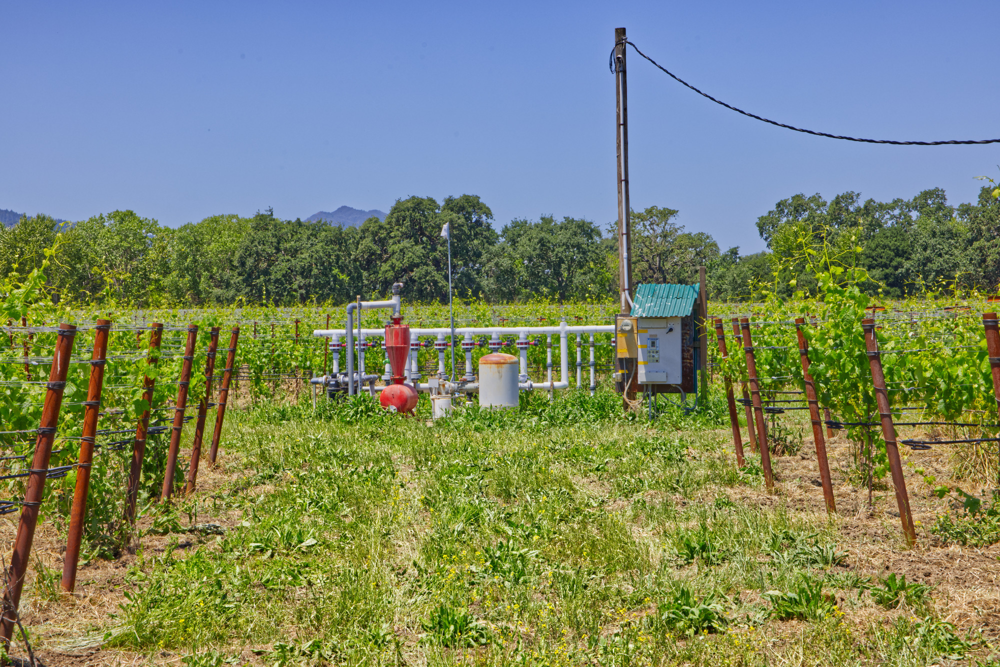 yountville ava vineyard irrigation well