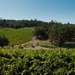 Exquisite Event Center, Luxury Estate Winery & Vineyard