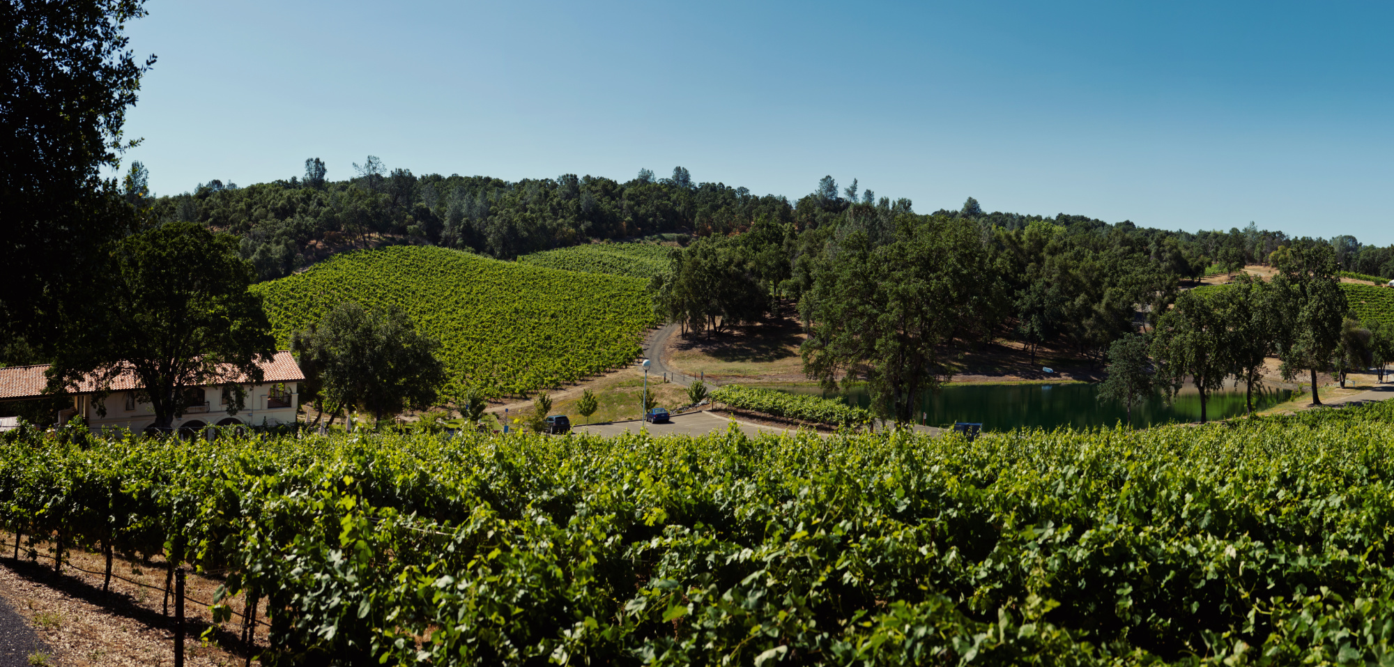 Exquisite Event Center, Luxury Estate Winery & Vineyard