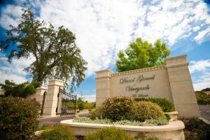 Exquisite Event Center, Luxury Estate Winery & Vineyard