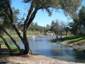 Exquisite Event Center, Luxury Estate Winery & Vineyard