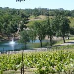 Exquisite Event Center, Luxury Estate Winery & Vineyard