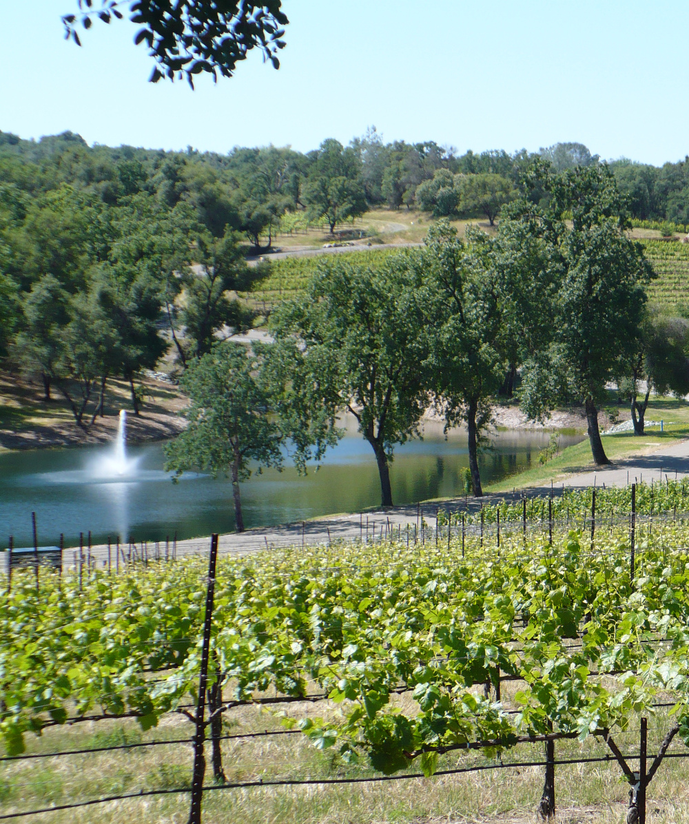 Exquisite Event Center, Luxury Estate Winery & Vineyard