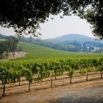 Exquisite Event Center, Luxury Estate Winery & Vineyard