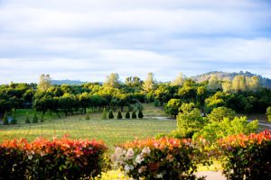 Exquisite Event Center, Luxury Estate Winery & Vineyard