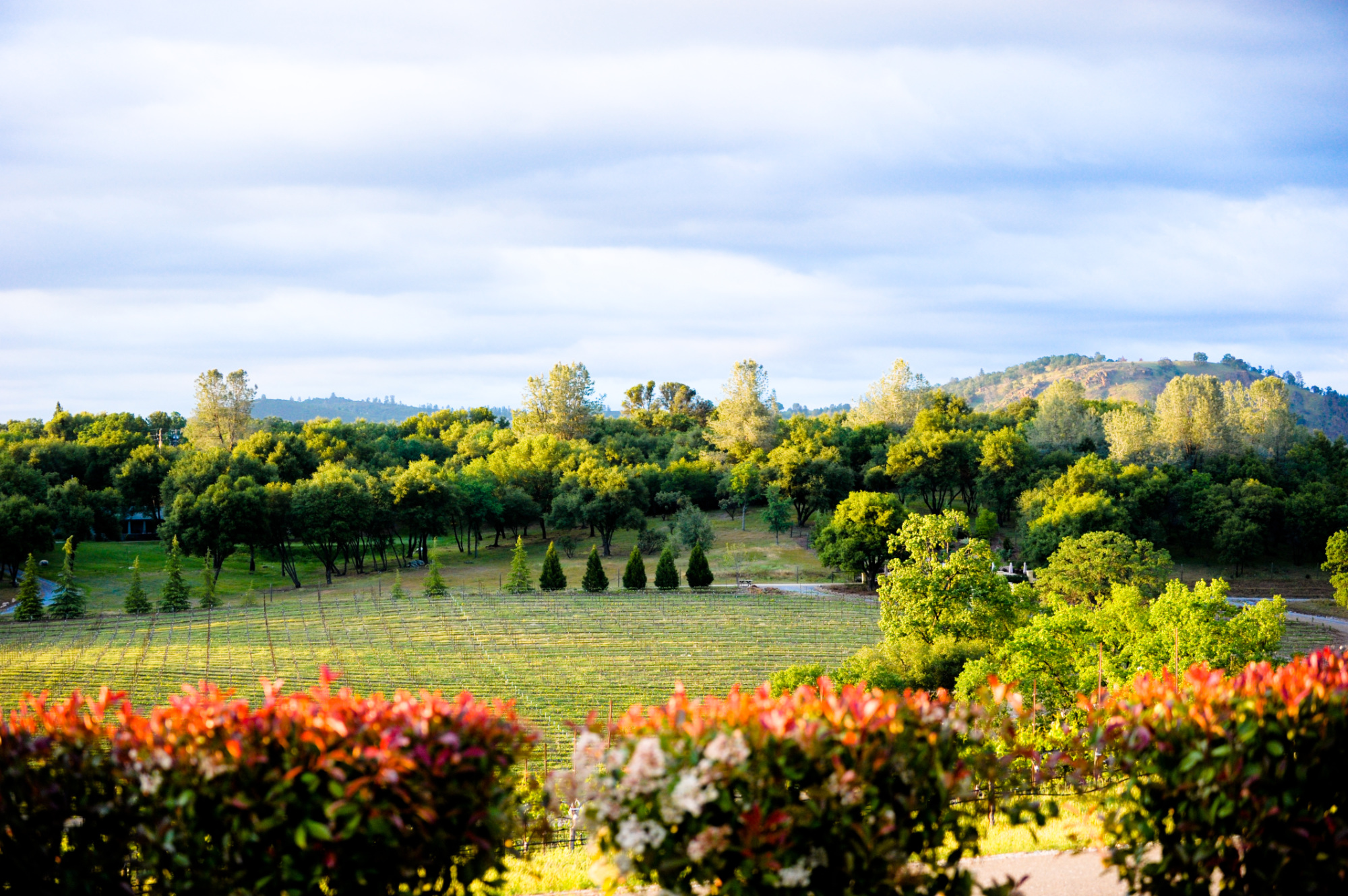 Exquisite Event Center, Luxury Estate Winery & Vineyard