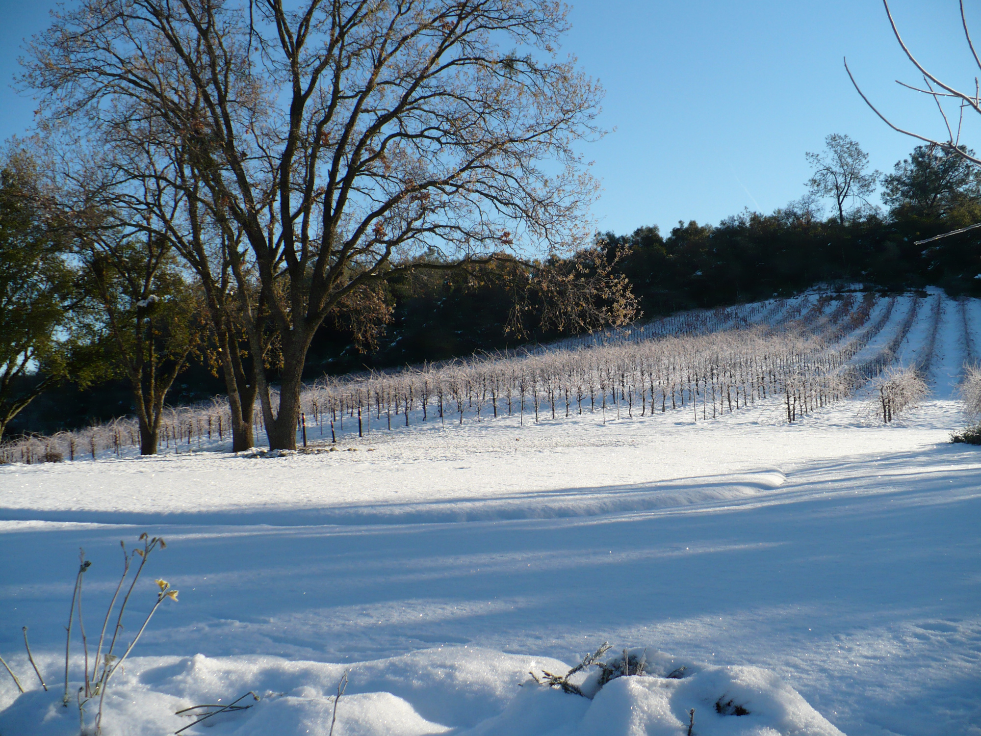 Exquisite Event Center, Luxury Estate Winery & Vineyard
