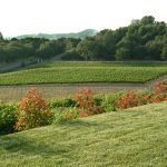 Exquisite Event Center, Luxury Estate Winery & Vineyard