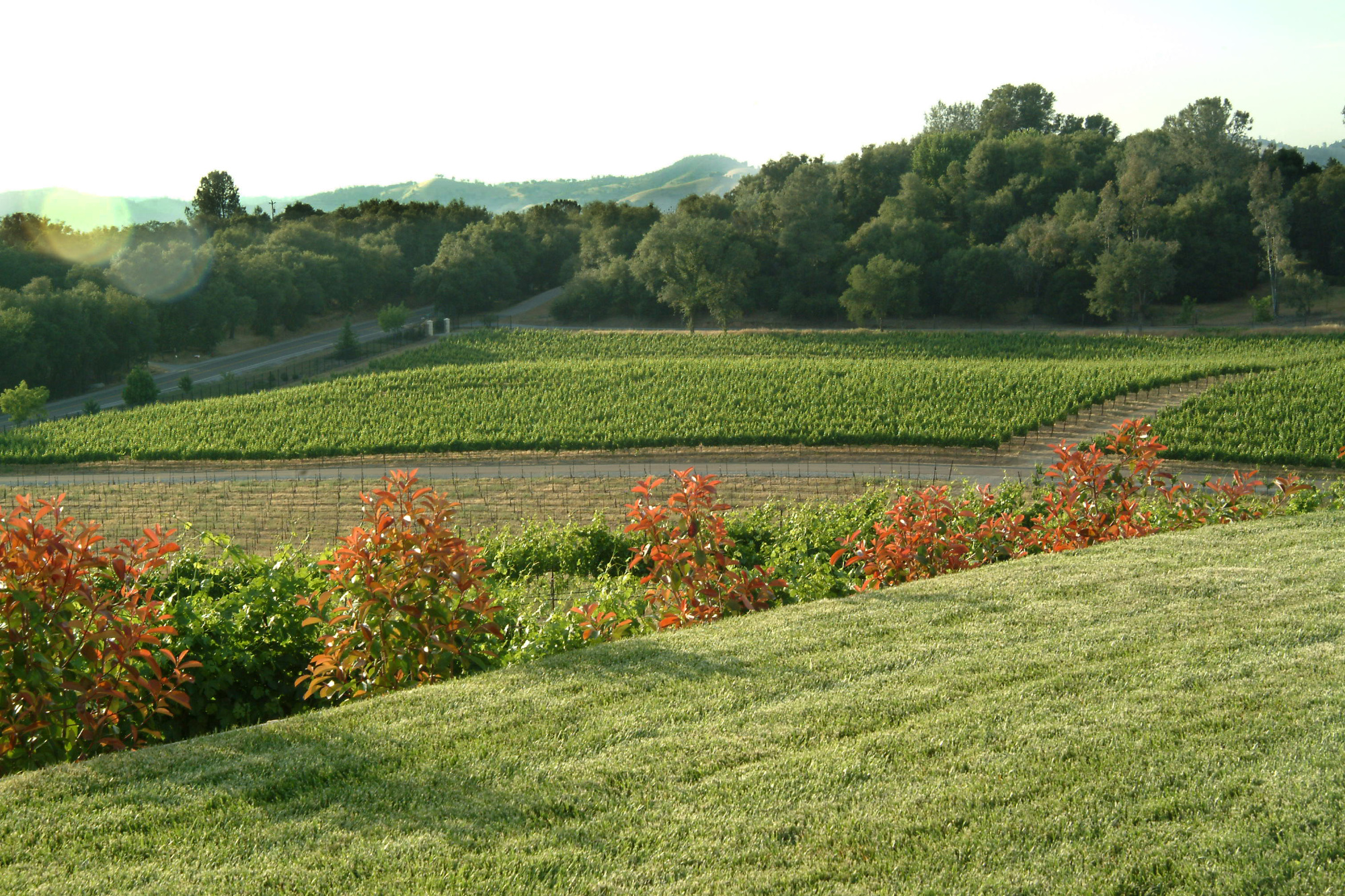 Exquisite Event Center, Luxury Estate Winery & Vineyard