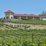 Exquisite Event Center, Luxury Estate Winery & Vineyard