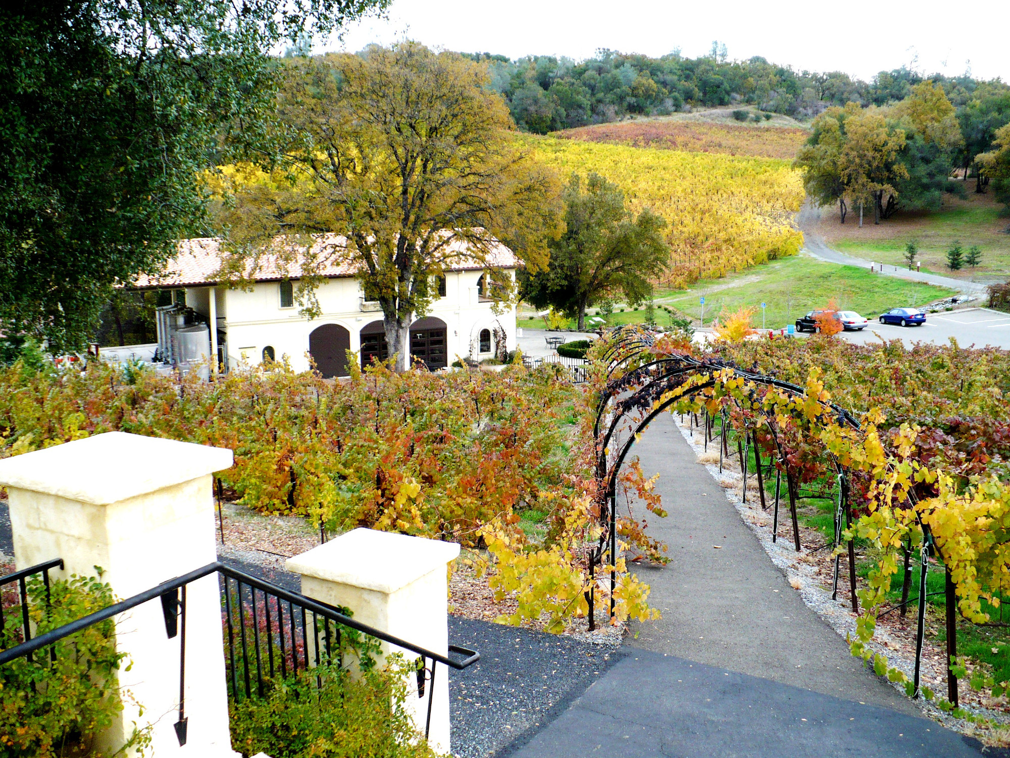 Exquisite Event Center, Luxury Estate Winery & Vineyard