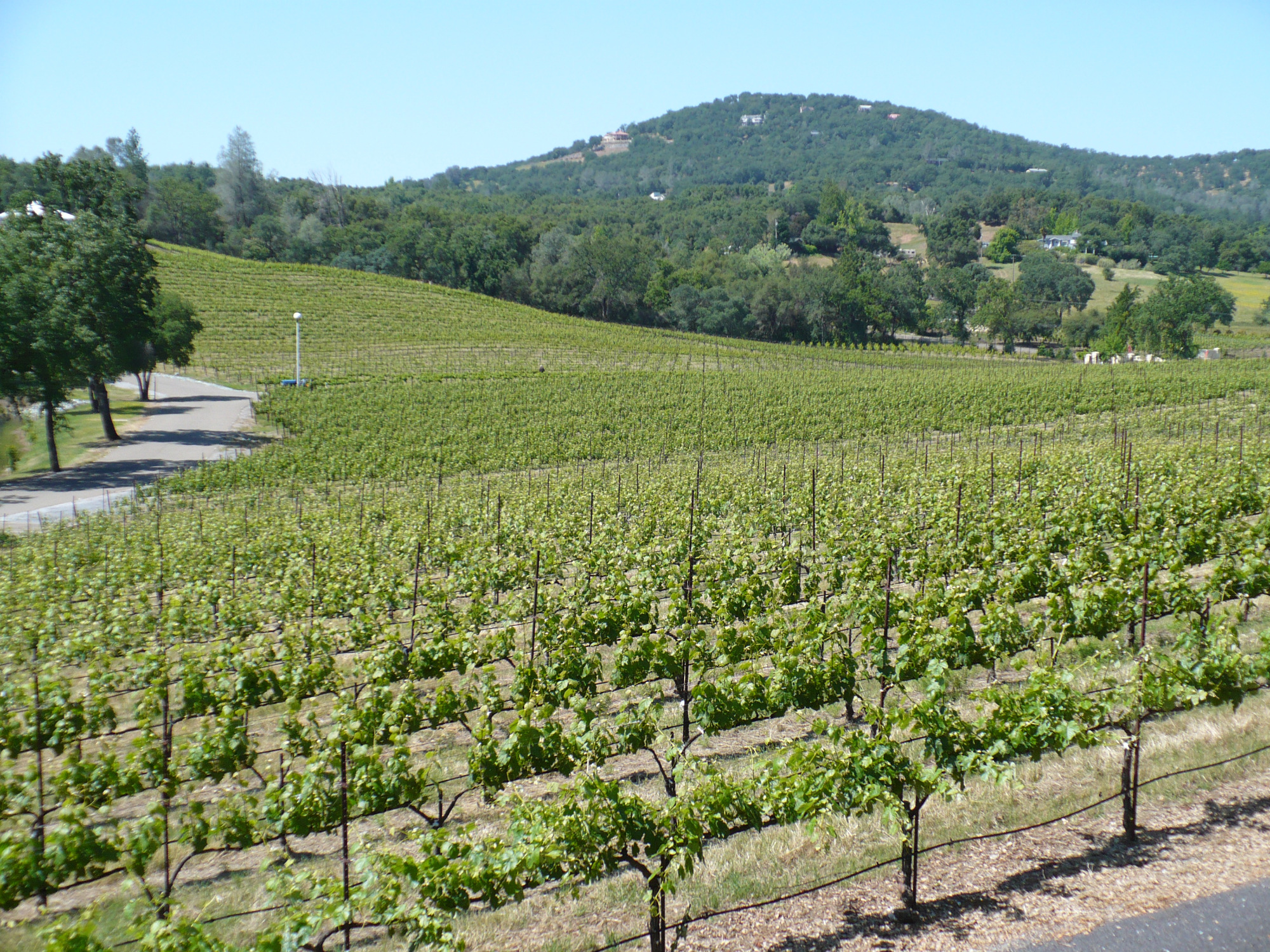 Exquisite Event Center, Luxury Estate Winery & Vineyard