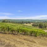 narrow-gate-vineyards-el-dorado-county