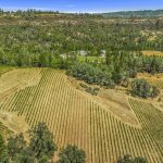 el-dorado-wine-country-vineyard-property