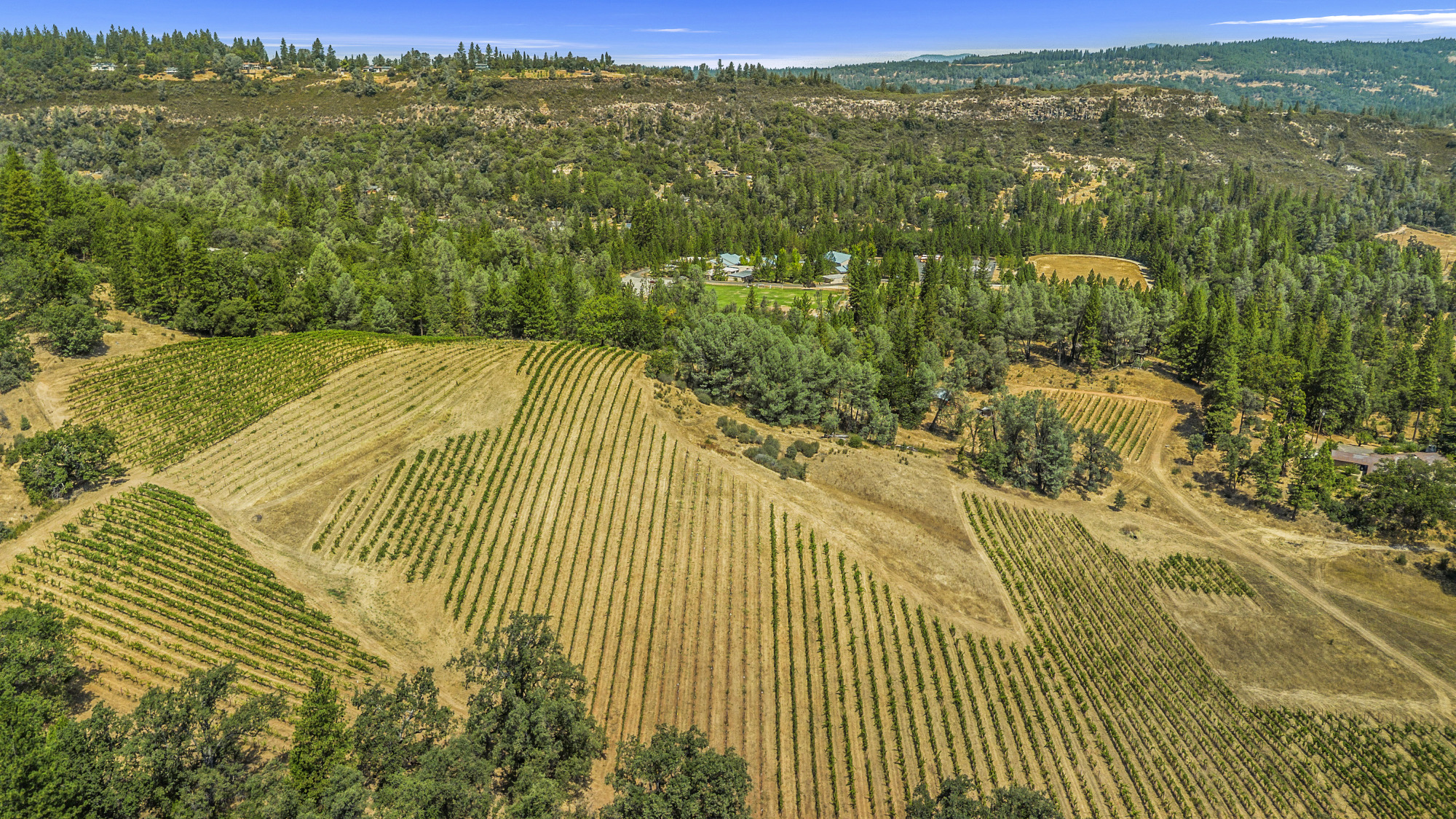 el-dorado-wine-country-vineyard-property