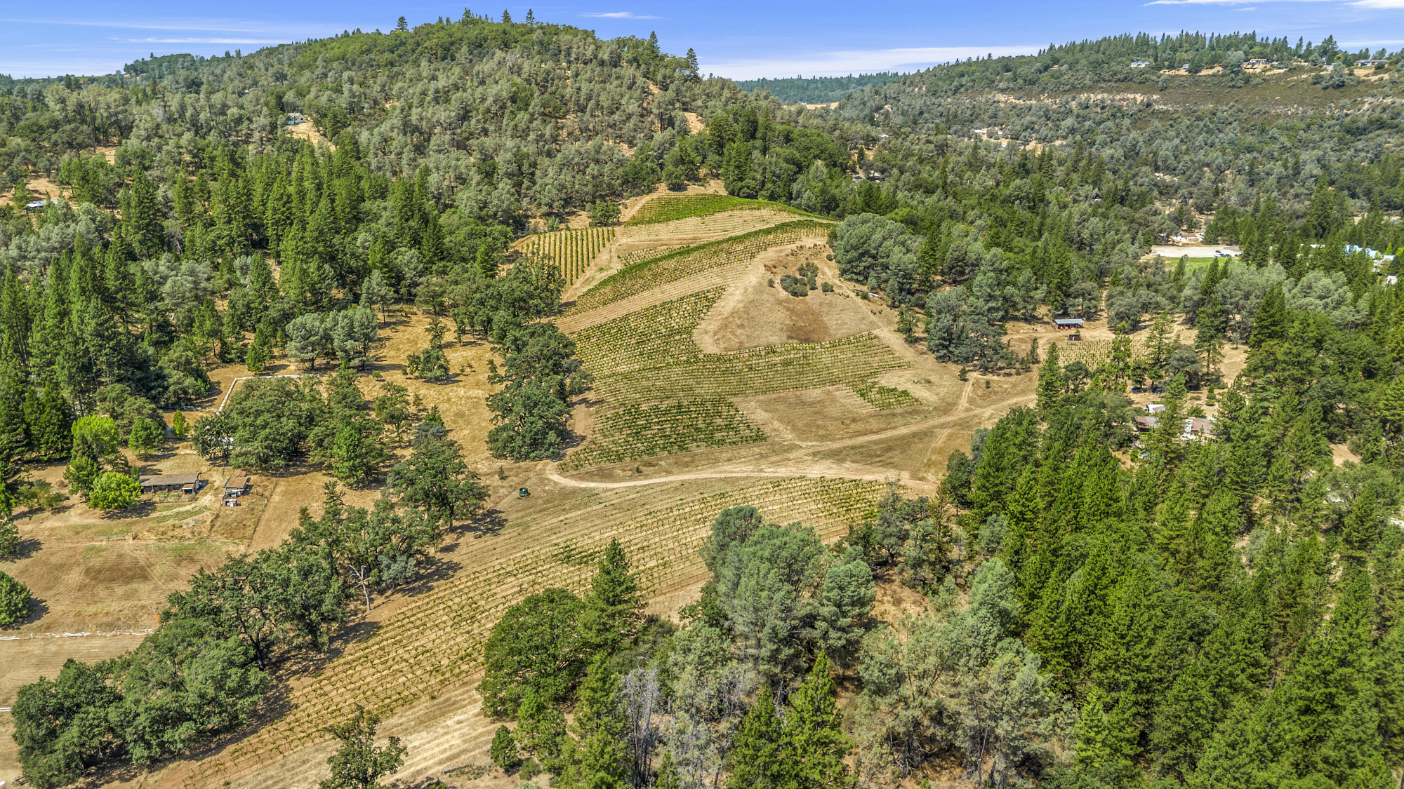 california-organic-vineyard-winery-estate