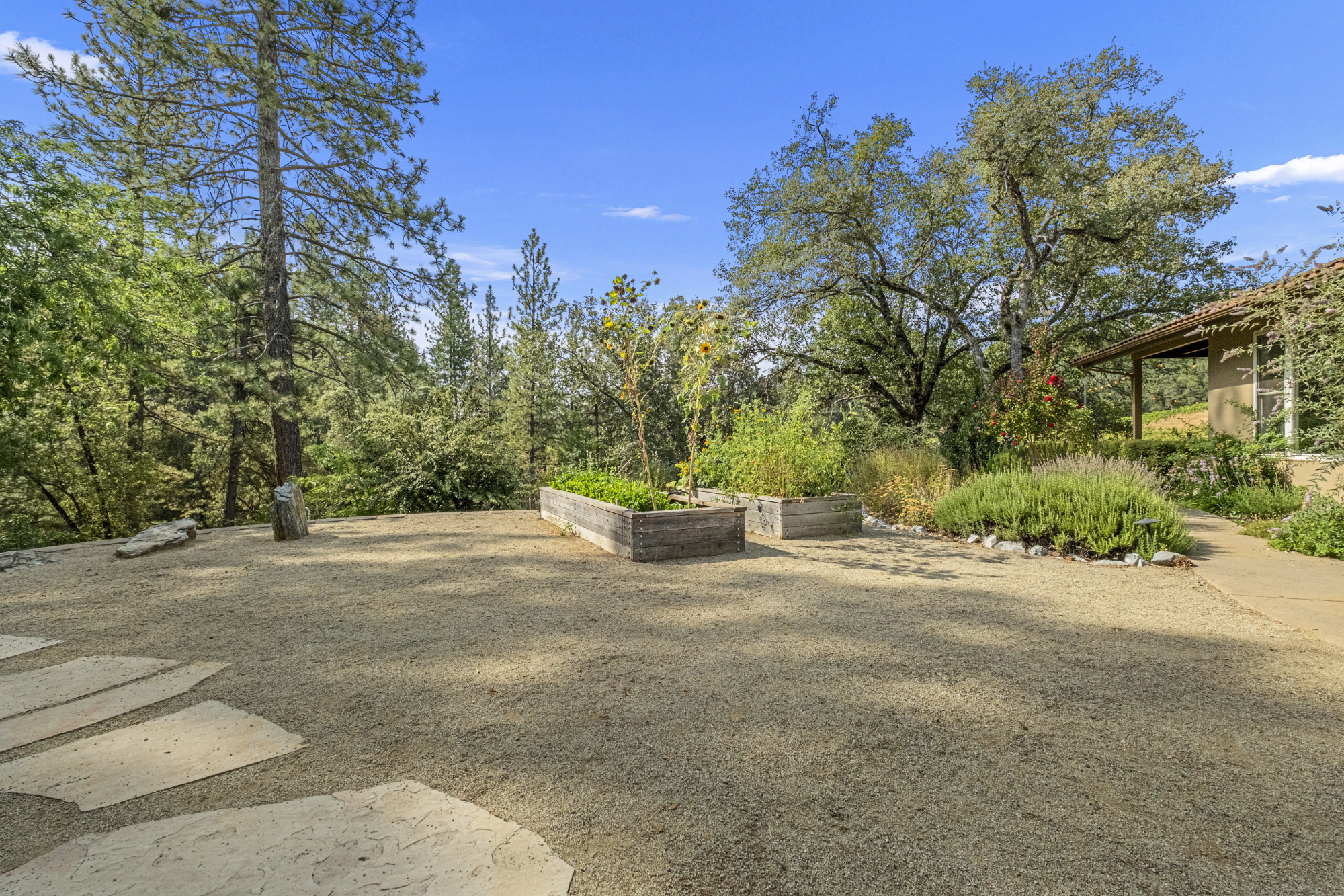 Sierra Foothills winery Estate for sale