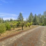 Sierra Foothills winery Estate for sale