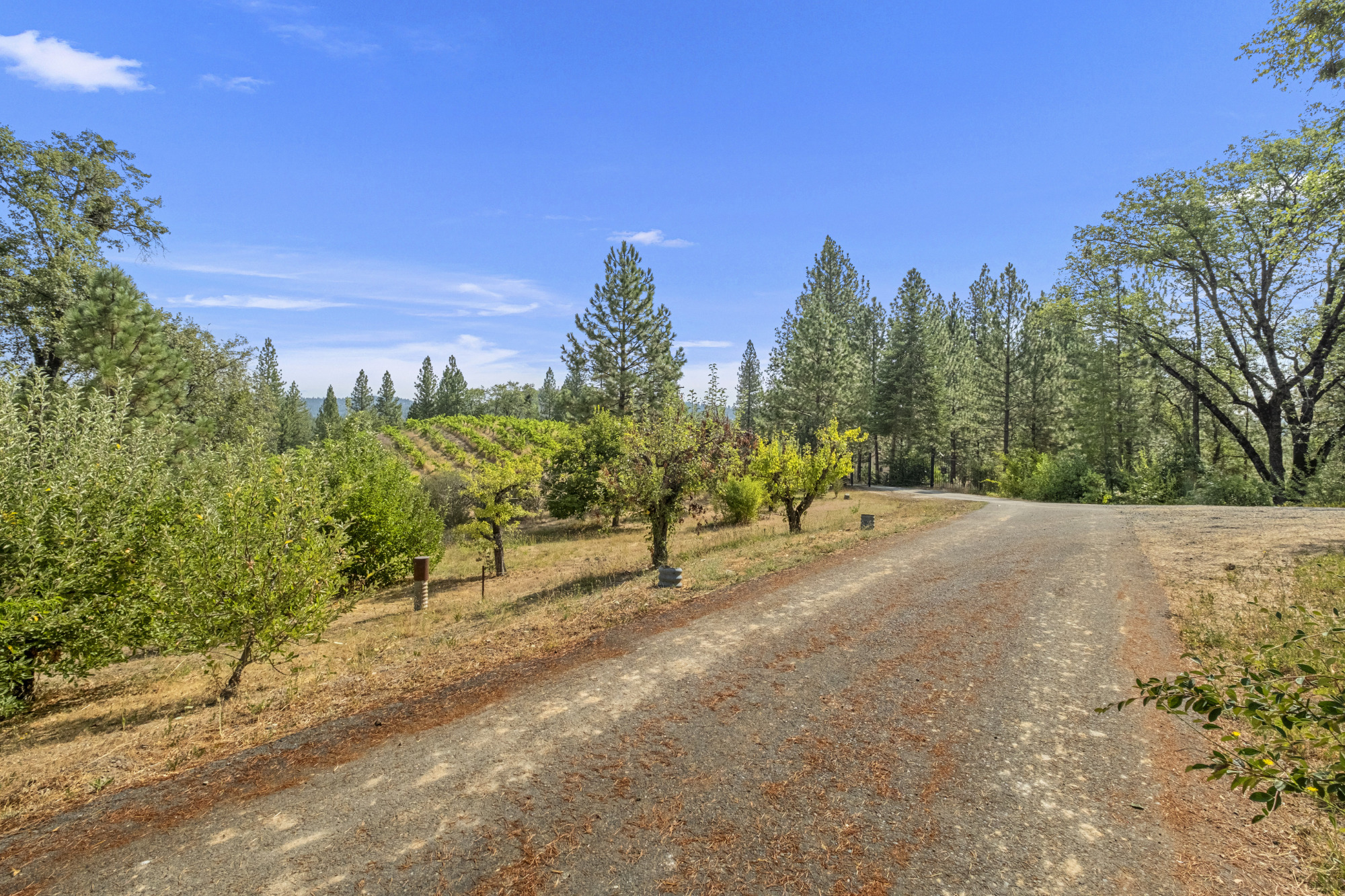 Sierra Foothills winery Estate for sale