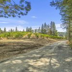 Sierra Foothills winery Estate for sale