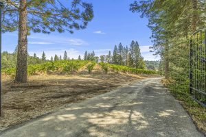 Sierra Foothills winery Estate for sale