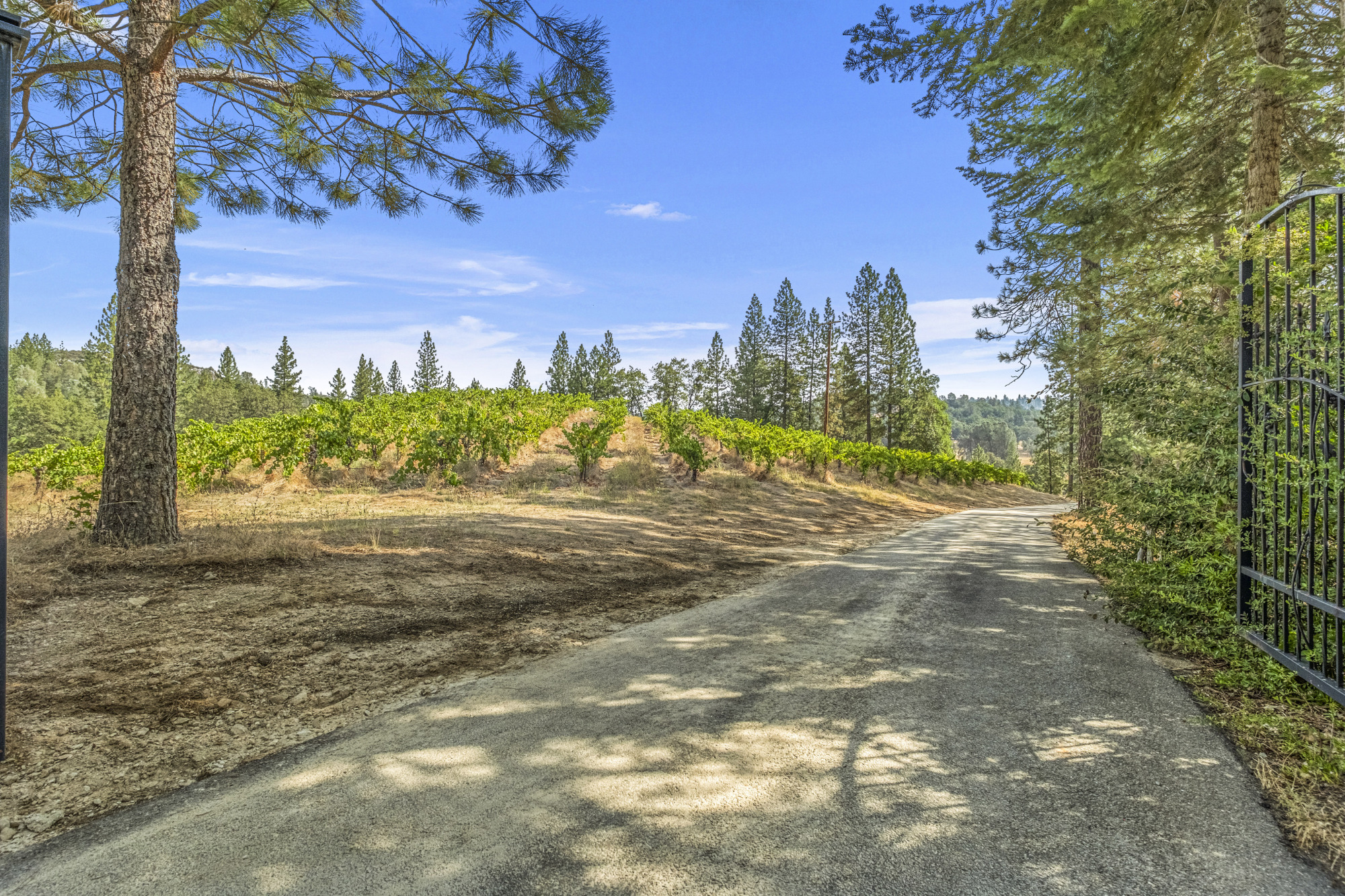 Sierra Foothills winery Estate for sale