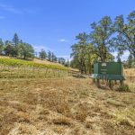 el-dorado-county-mountain-vineyard-estate